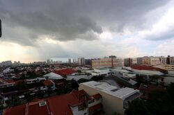 SunGlade (D19), Condominium #502561011